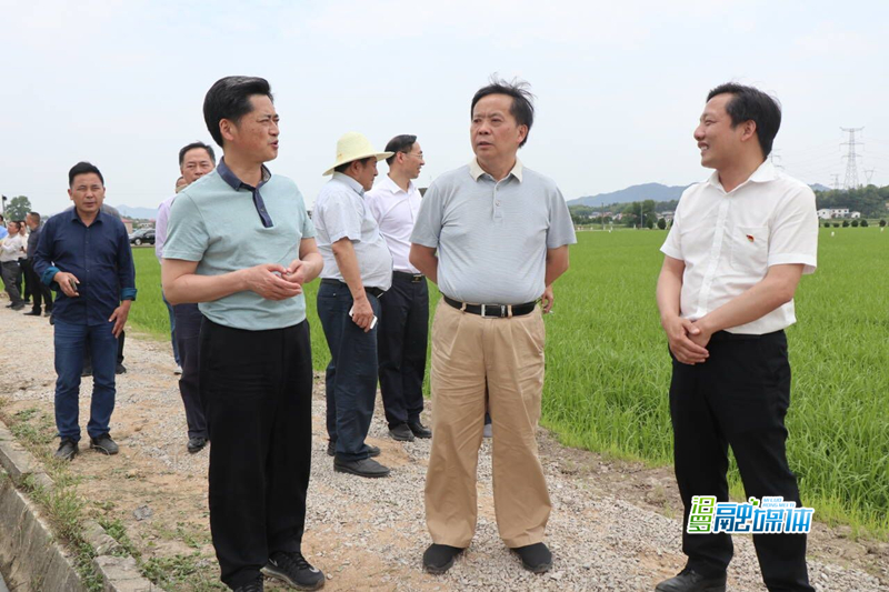 省人大来汨调研粮食生产和耕地安全利用工作