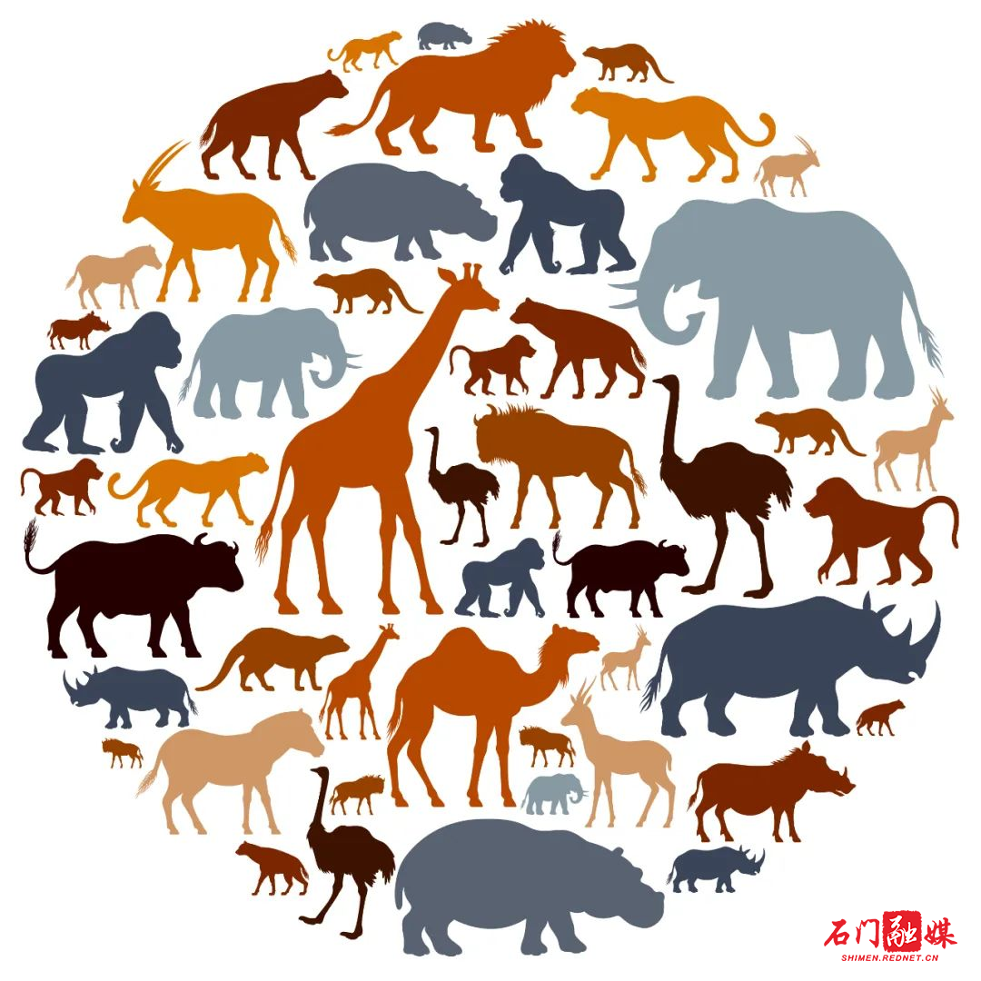 22国际生物多样性日,你我共守护