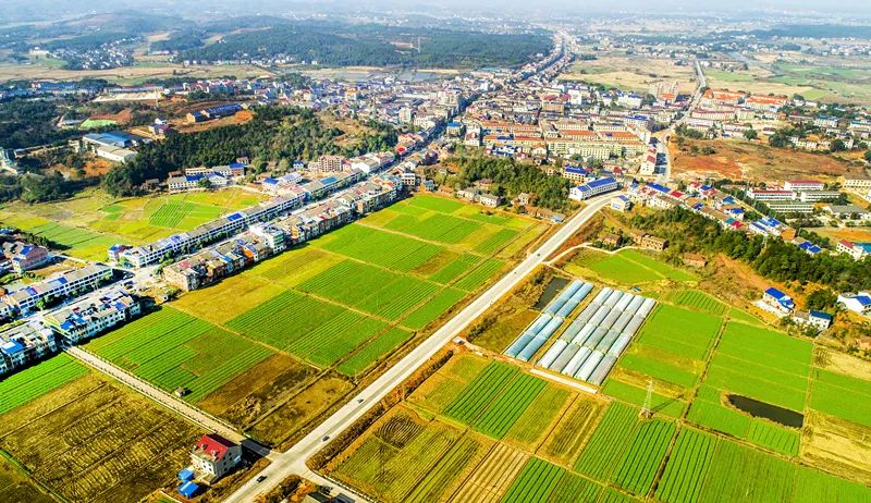 湖南14地入选全国农业产业强镇建设名单 湘潭县花石镇