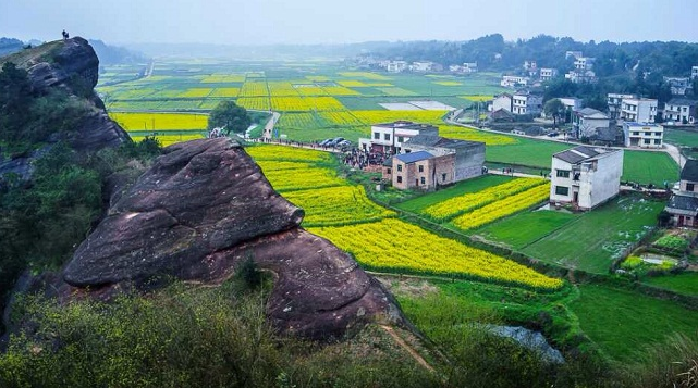 郴州安仁县入选全国农业产业强镇建设名单