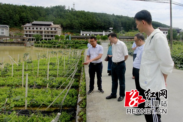 夏义生来凤凰调研新时代文明实践中心建设工作