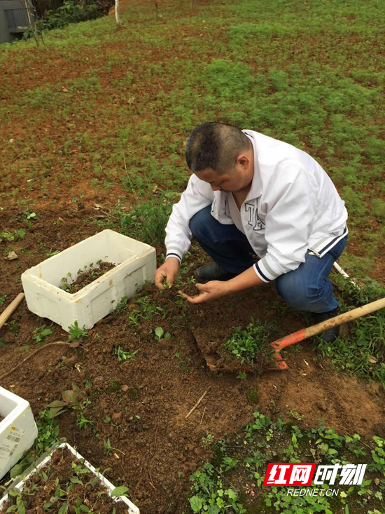 科技为民奋斗有我董爱文依托区域植物资源优势脚踏实地做好特色科研