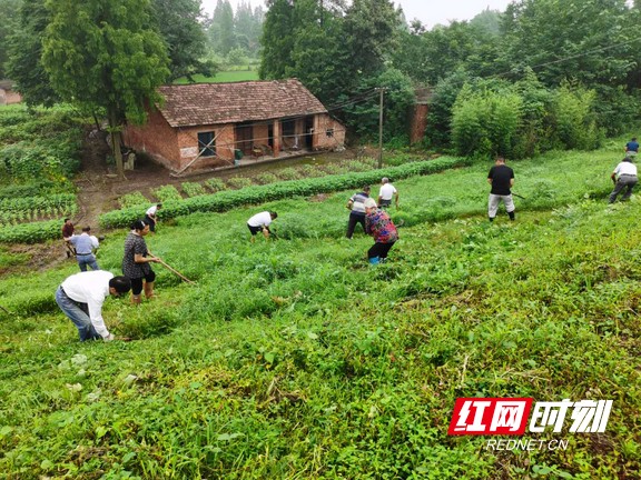 南县茅草街镇:坚守在防汛大堤上的守护者