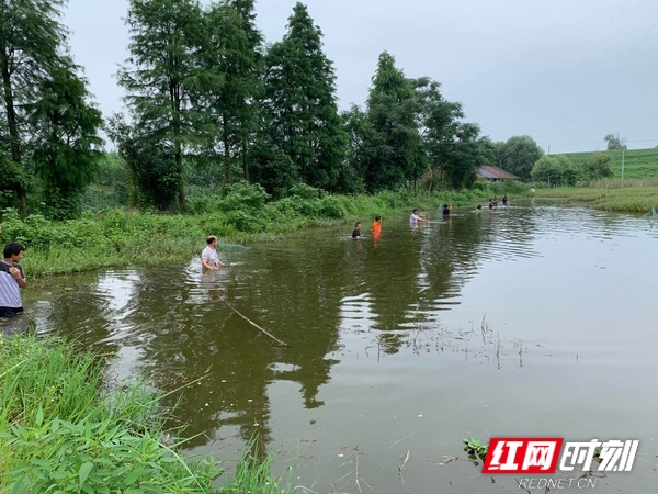 大通湖区河坝镇防汛队员和衣蹚水而过.