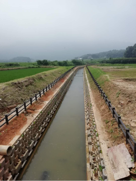 生态沟建设现场