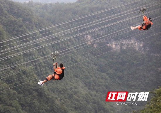 张家界大峡谷景区:高空滑索乐中游