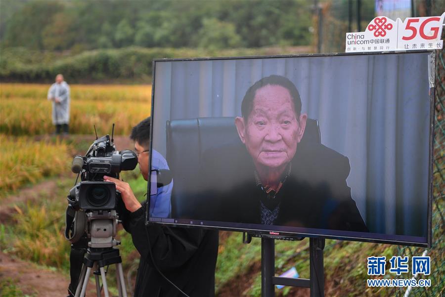 新华网丨袁隆平团队杂交水稻双季亩产突破1500公斤
