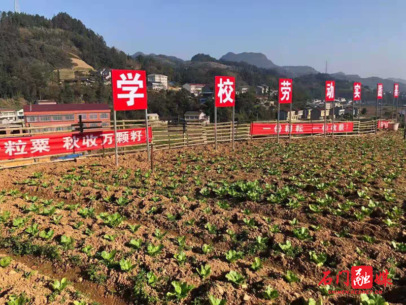 洞国学校劳动实践基地