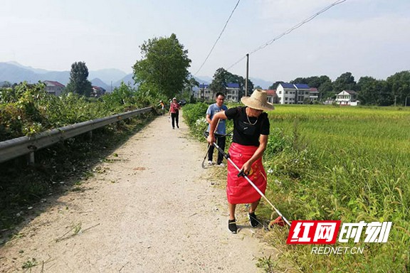 桃江县牛田镇:把人大代表活动组织到田间地头