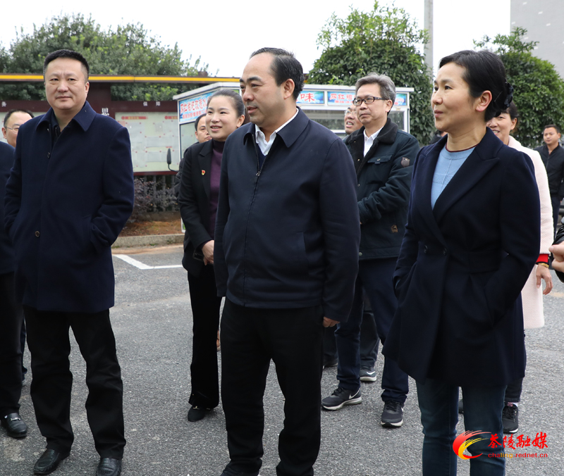11月27日,株洲市委副书记,市长阳卫国来茶陵调研农村乱占耕地建房