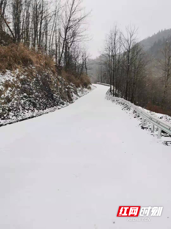 最美不过下雪天,你那里下雪了吗?