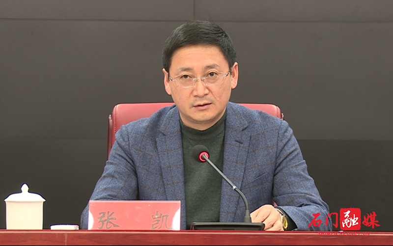 (县委常委,常务副县长张凯出席会议并讲话)