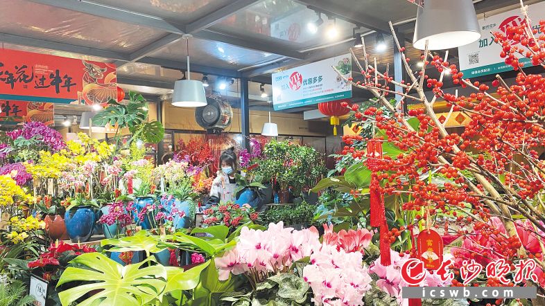 记者近日探访红星花卉市场,三湘花卉市场等了解到,临近春节,鲜花需求