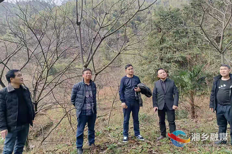 文学照亮湘乡 | 湘乡作协到栗山镇荆泉村走访采风