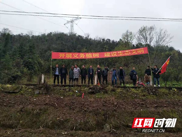 杉木桥镇:开展义务植树活动_乡镇动态_慈利新闻网