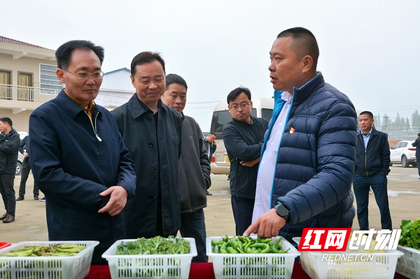 安乡县2021年3月份乡镇党委书记党建工作例会在陈家嘴