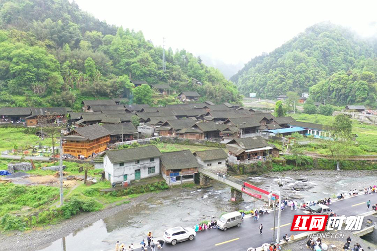 悠悠茶香 稳稳幸福_文化·旅游_吉首市站