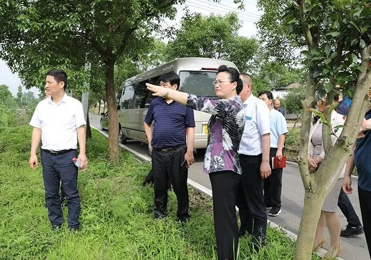 解决群众"急难愁盼"问题 落实乡村振兴战略——魏淑萍到钱粮湖镇开展
