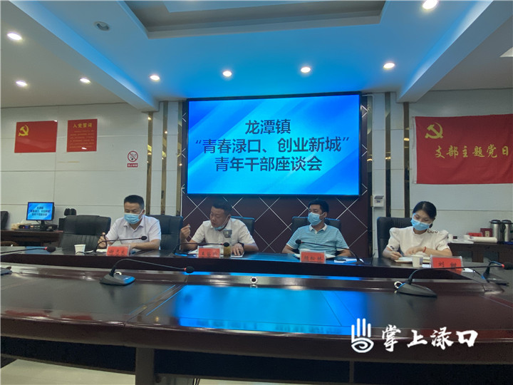 龙潭镇组织召开"献言党代会,共建新株洲"青年干部座谈会