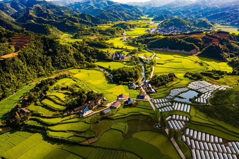 怀化市中方县铜湾镇黄溪古村,丰收在望的稻田,流淌的溪流,古老的村庄