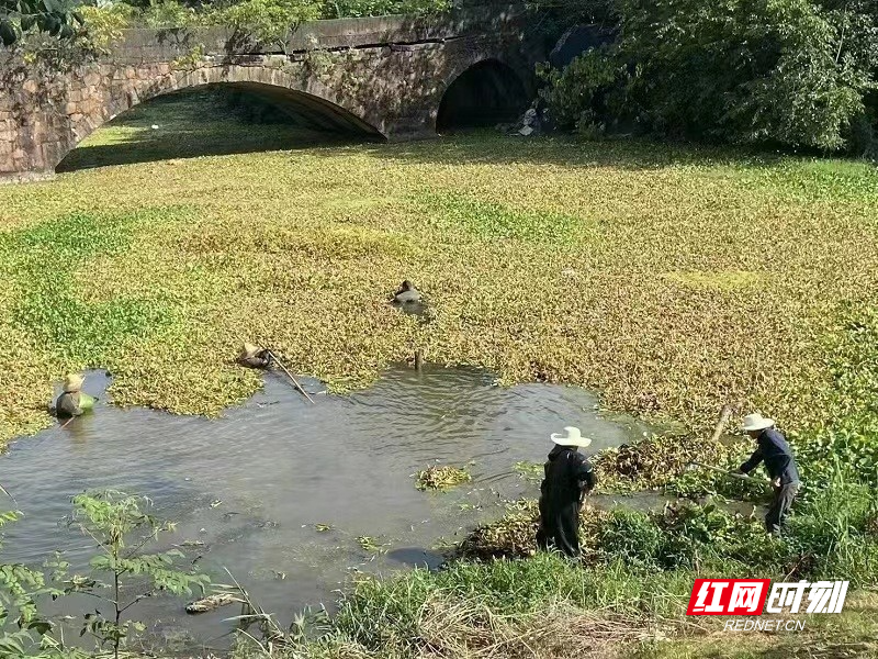 鼎城灌溪：河长治水水长清