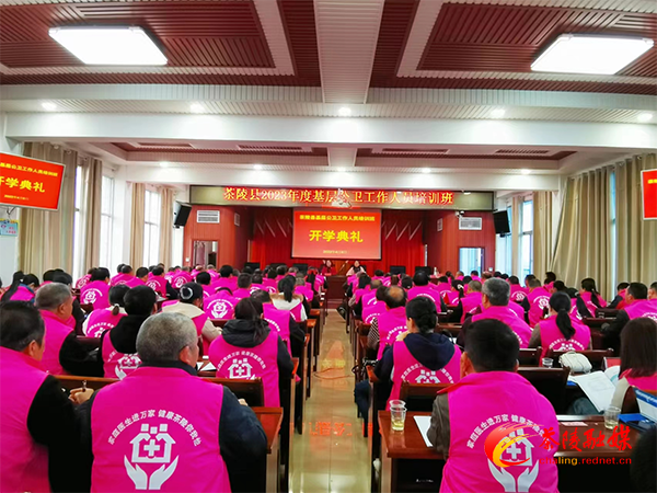 图片2副本.png