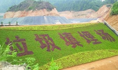 桃江县环卫所垃圾填埋场处理项目成交公告