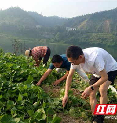 安化财政局开展“同吃同住同劳动，真心真情促脱贫”活动