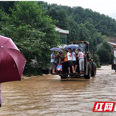 桃江：司机被洪水围困车内 民警砸车窗救人