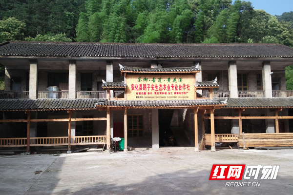 未标题-6-恢复的-恢复的-恢复的-恢复的.jpg
