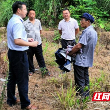 龙山县兴隆街道：干部下村办实事 群众送伞记恩情