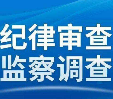 娄底市中级人民法院执行局原副局长刘景星接受监察调查