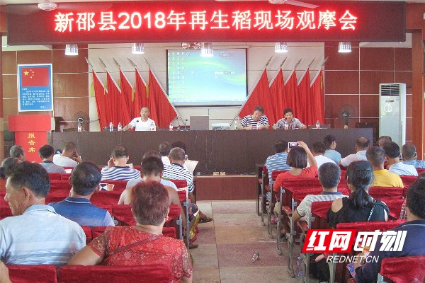 efa20cd8-b6f2-4c50-90b9-464e16dcf9c7.jpg
