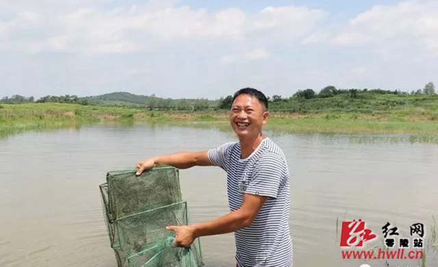 小康不小康，关键看老乡。在零陵，有这样一群人，他们不等不靠不要，凭借自己勤劳双手实现脱贫致富，18位脱贫代表最真实的笑脸，述说着脱贫的甜蜜与幸福！图为唐怀荣，邮亭圩镇毛坪村村民，稻田套养小龙虾，2017年12月脱贫。“今年小龙虾卖25块一斤，养了20亩田的小龙虾，光是小龙虾就赚了7万多。自己动手干，富裕来得快！”(杨坤 摄)