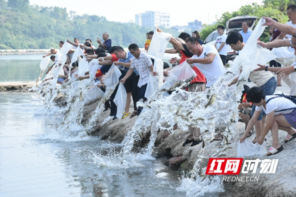 邵阳：200万尾鱼苗放流资江