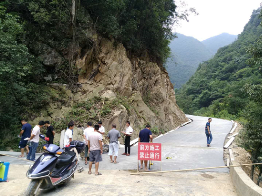 白云深处致富路，生态黑茶出深山
