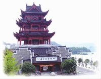 安化黑茶世界共享：黑与红品牌全球发布