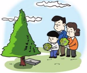 关于溆浦县殡葬领域突出问题专项整治“十个严禁”的通告