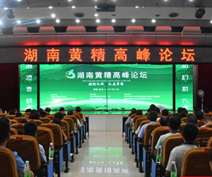 湖南黄精高峰论坛在新化举行 聚焦黄精产业创新发展