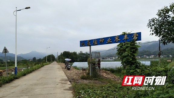 微信图片_20180830173004.marked.jpg