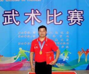 省运会娄底成年组再添一金 陈雄志获传统拳术项目冠军