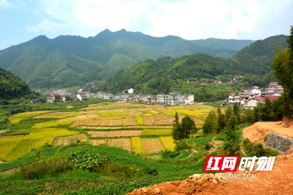 新邵县寺溪冲村：阻断贫困延续 留住高山乡愁