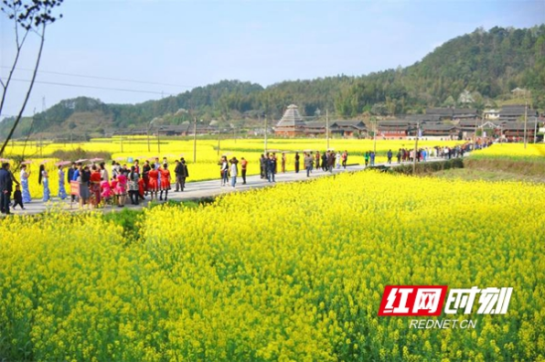 绥宁县出台“十五条硬措施”确保今年高质量脱贫