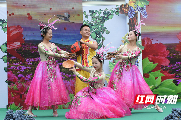 DSC_8172_爱奇艺.jpg