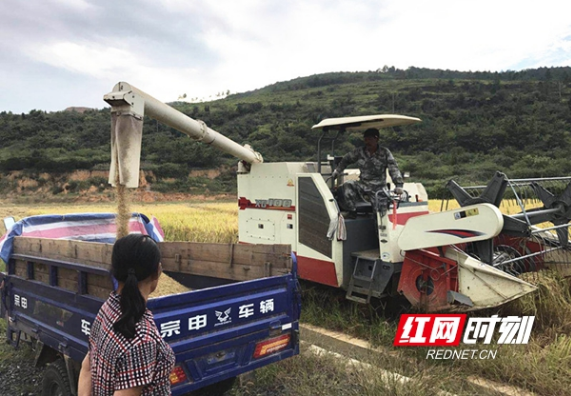 邵阳县谷洲镇增减挂钩让废地变良田 