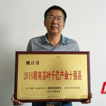 桃江荣获湖南茶叶千亿产业十强县