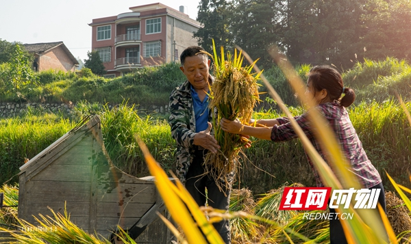 邵东举办“美丽乡村”新闻摄影大赛