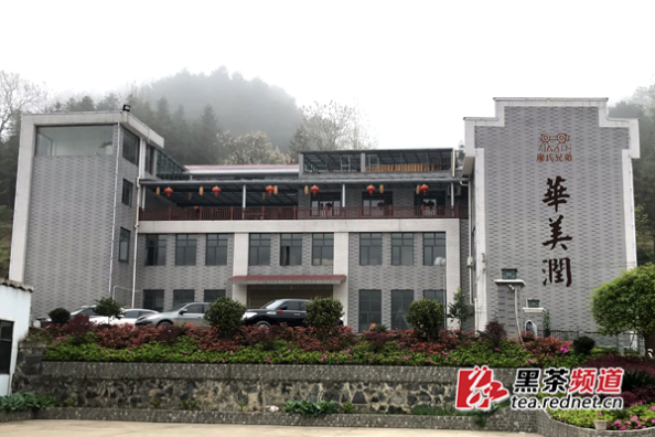【黑茶文化节名优茶企展】安化华美润茶业：用良心 传匠心