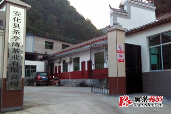 【黑茶文化节名优茶企展】安化茶亭湾茶业:黑茶的健康之饮