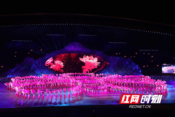 446afdcb-1823-4f96-ac43-8dbc5134b147.jpg